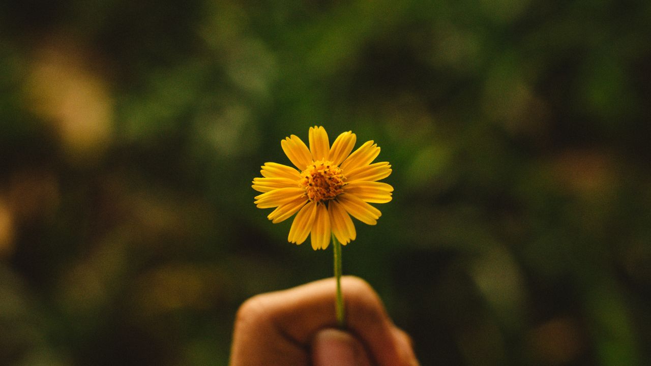 est ce qu'on peut aimer sans désir sexuel?