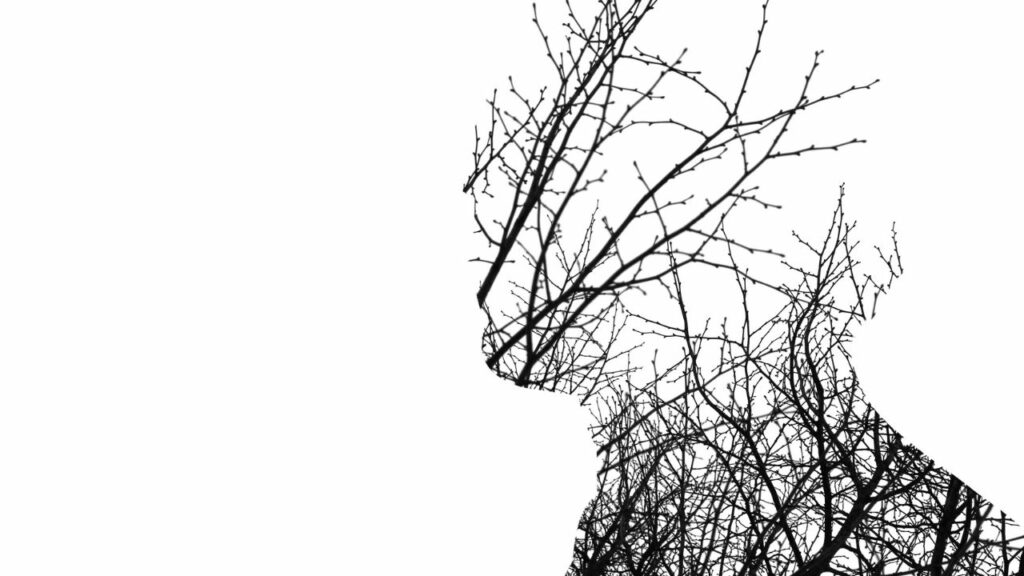 Le désir sexuel, la libido en couple