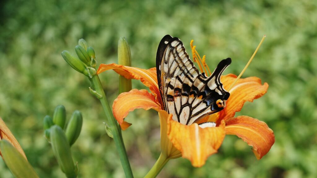 La libido déteste les rancoeurs, les conflits, le désamour.